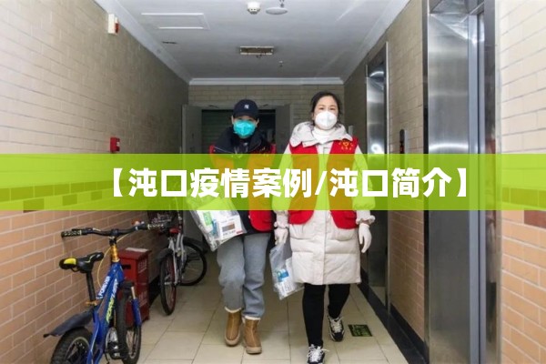 【沌口疫情案例/沌口简介】 【沌口疫情案例/沌口简介】