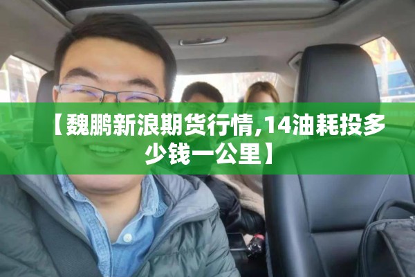 【魏鹏新浪期货行情,14油耗投多少钱一公里】 【魏鹏新浪期货行情,14油耗投多少钱一公里】