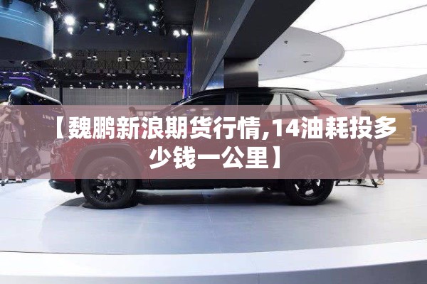 【魏鹏新浪期货行情,14油耗投多少钱一公里】 【魏鹏新浪期货行情,14油耗投多少钱一公里】