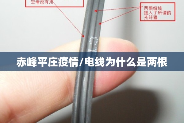 西安机场疫情最新指示/西安机场疫情最新指示电话