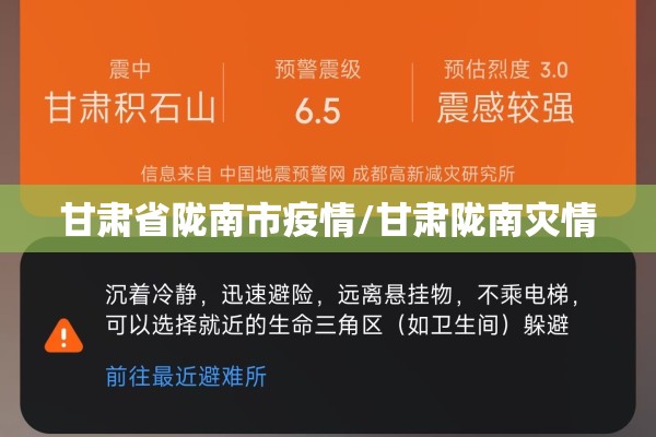 甘肃省陇南市疫情/甘肃陇南灾情 甘肃省陇南市疫情/甘肃陇南灾情