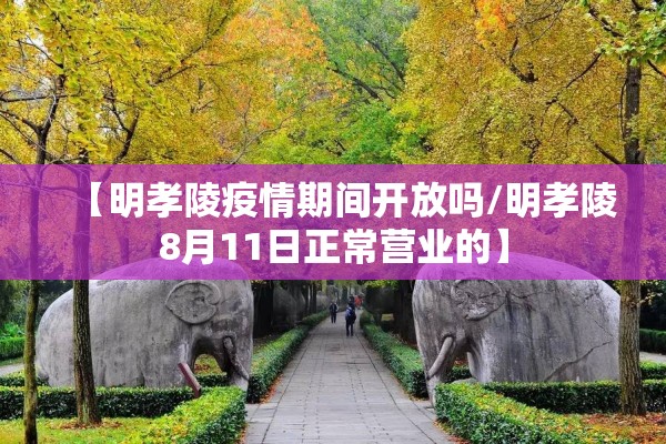 甘肃省陇南市疫情/甘肃陇南灾情