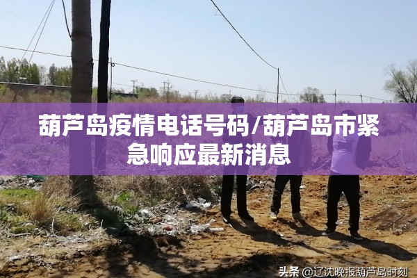 最新期货分股行情查询/期货行情实时分析