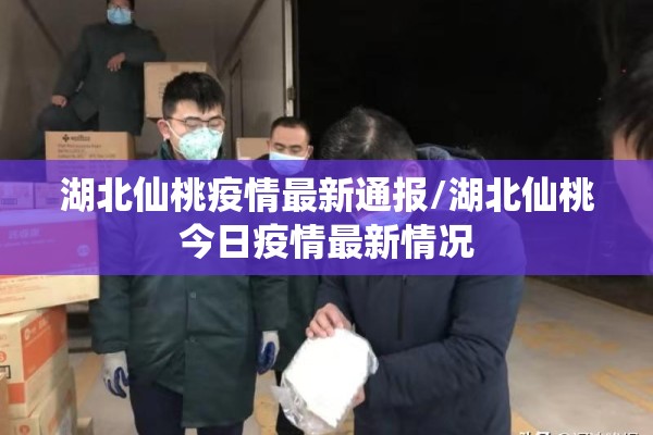 搜索期货行情/搜索期货行情的软件