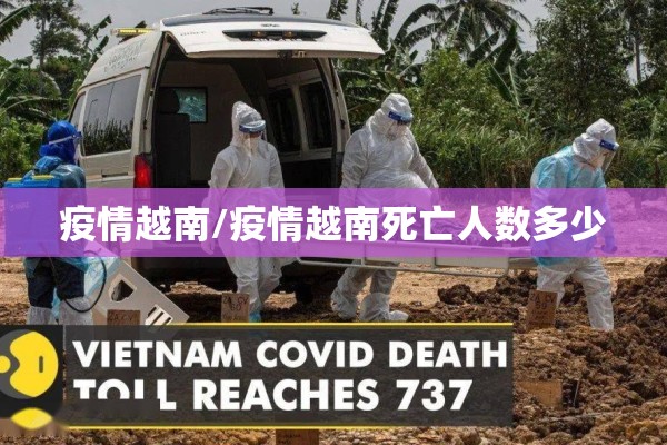 辅助教程“大懒人娱乐开挂教程”开挂(透视)辅助教程