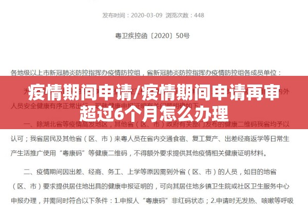 疫情期间申请/疫情期间申请再审超过6个月怎么办理 疫情期间申请/疫情期间申请再审超过6个月怎么办理