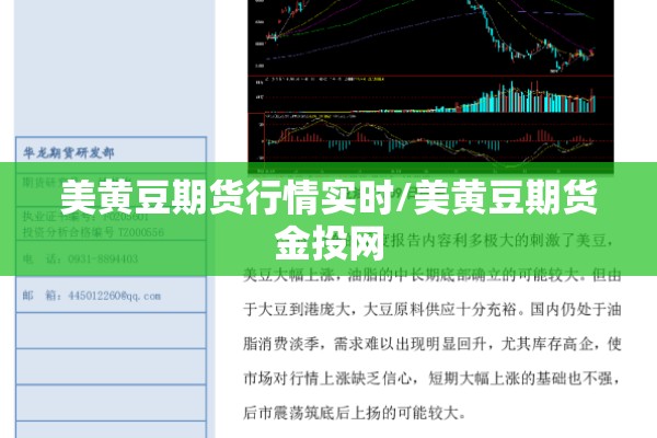 美黄豆期货行情实时/美黄豆期货金投网