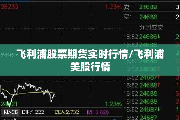 飞利浦股票期货实时行情/飞利浦美股行情