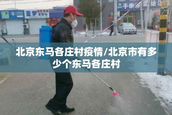 北京东马各庄村疫情/北京市有多少个东马各庄村