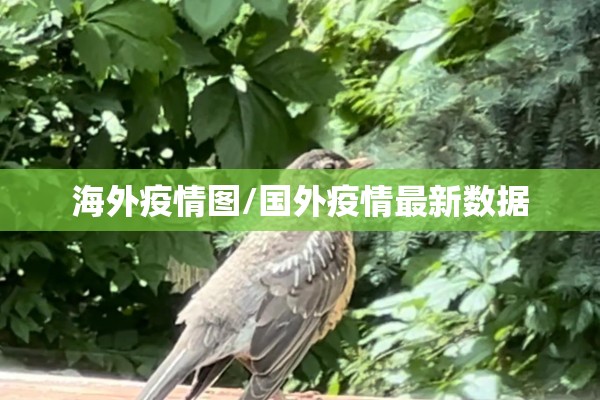 国际期货黄金实时行情/国际黄金期货最新价格