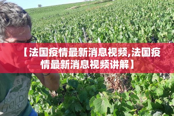 【期货行情棉花,期货棉花行情走势分析】