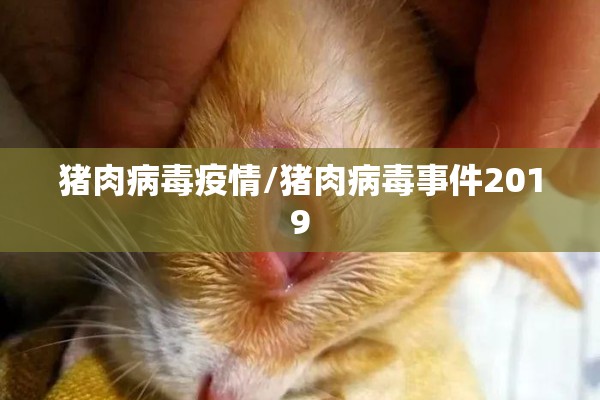 【我能为疫情防控做什么,我能为疫情防控做什么手抄报】