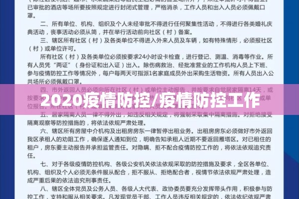 2020疫情防控/疫情防控工作
