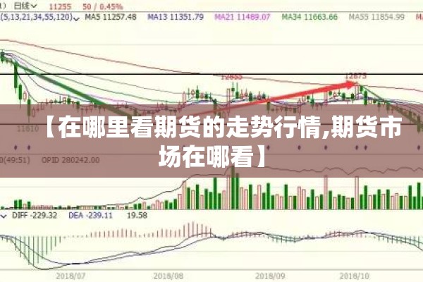 【疫情防控监督工作总结/疫情防控监督工作情况报告】