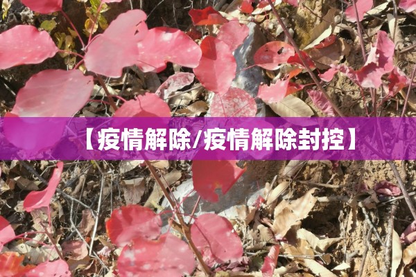 【伦铝期货实时行情/伦锡期货实时行情】