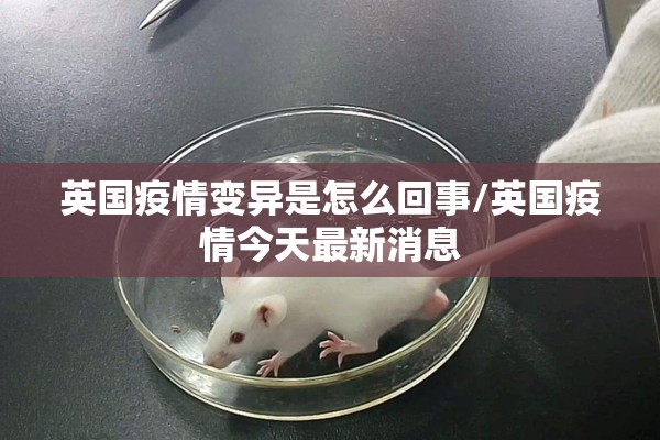 英国疫情变异是怎么回事/英国疫情今天最新消息 英国疫情变异是怎么回事/英国疫情今天最新消息