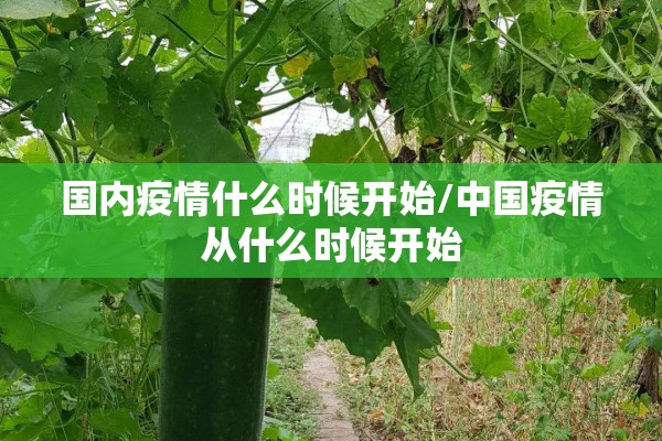 辅助教程“中至余干麻将一直输怎么回事”开挂(透视)辅助神器