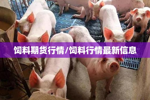 饲料期货行情/饲料行情最新信息 饲料期货行情/饲料行情最新信息