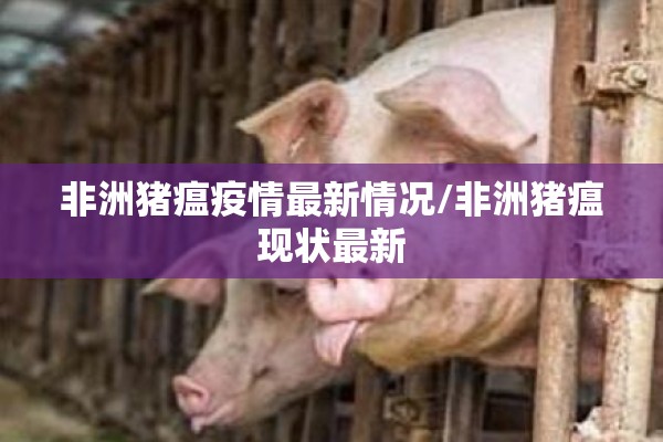 【疫情防护措施,疫情防护措施的重要性】