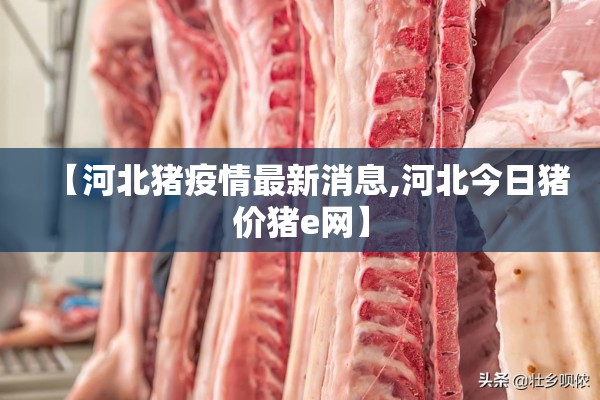 【河北猪疫情最新消息,河北今日猪价猪e网】 【河北猪疫情最新消息,河北今日猪价猪e网】