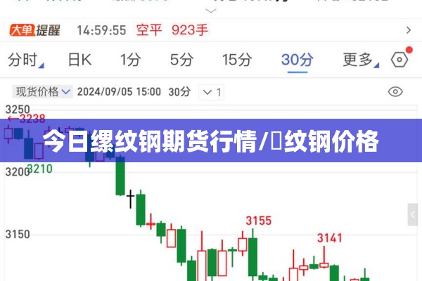 今日缧纹钢期货行情/磥纹钢价格 今日缧纹钢期货行情/磥纹钢价格