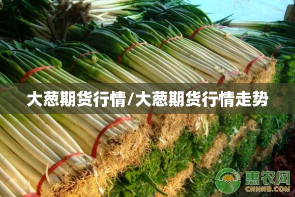 大葱期货行情/大葱期货行情走势 大葱期货行情/大葱期货行情走势