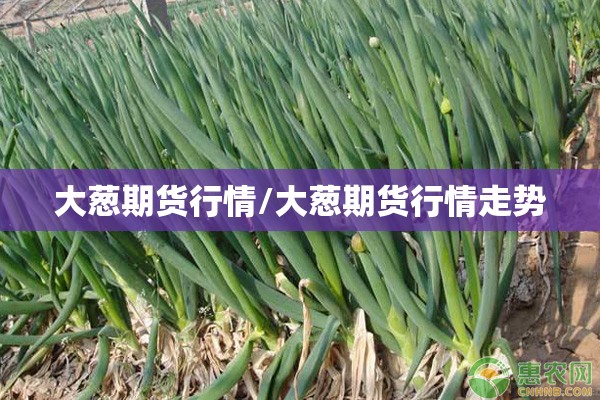 疫情下的中国经济现状（疫情下的中国经济现状论文）