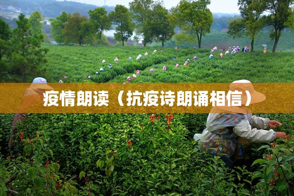 【期货原木行情,原木期货价格趋势分析】