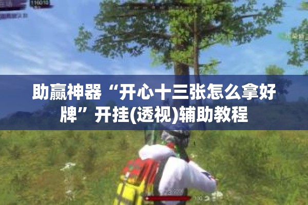助赢神器“开心十三张怎么拿好牌”开挂(透视)辅助教程