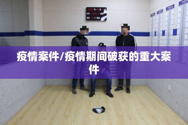 疫情案件/疫情期间破获的重大案件 疫情案件/疫情期间破获的重大案件