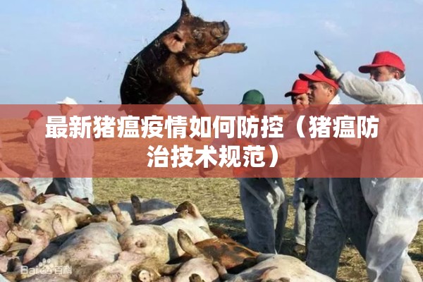 玩家辅助神器:喜扣跑胡子有没有挂”(透视挂)辅助透视教程