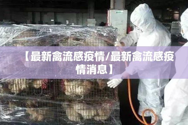 期货行情画图（期货行情画图技巧）