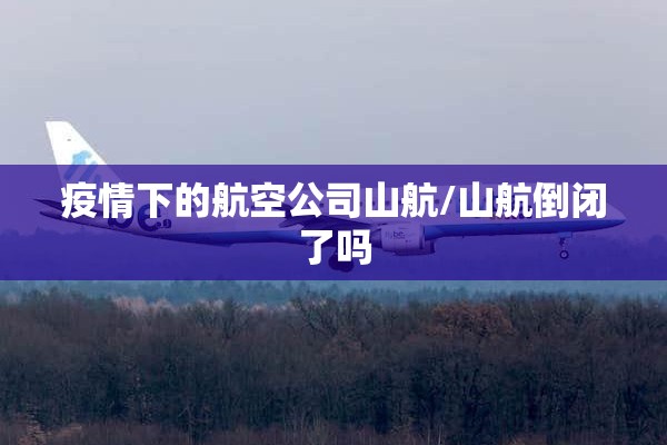 期货行情用什么软件好:期货行情分析软件哪款最好