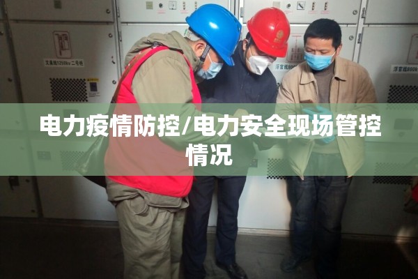 电力疫情防控/电力安全现场管控情况 电力疫情防控/电力安全现场管控情况