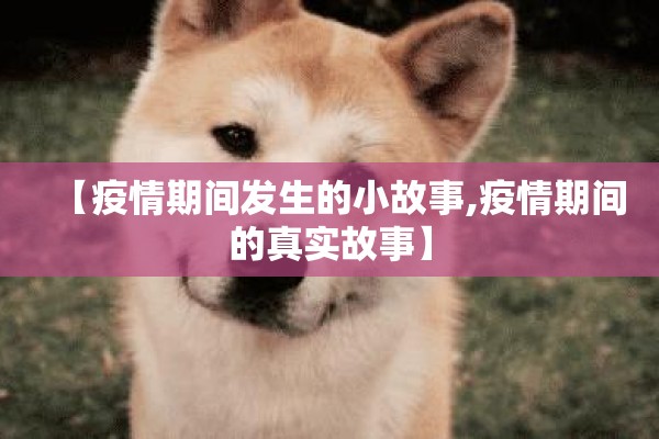 【疫情期间发生的小故事,疫情期间的真实故事】 【疫情期间发生的小故事,疫情期间的真实故事】