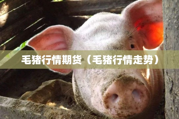 来安县疫情:来安县最新公示公告