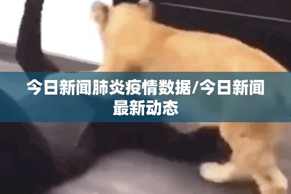 今日新闻肺炎疫情数据/今日新闻最新动态
