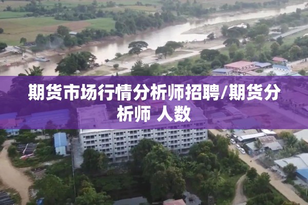 期货市场行情分析师招聘/期货分析师 人数 期货市场行情分析师招聘/期货分析师 人数
