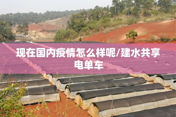 【pp期货行情图/pp期货行情中心】