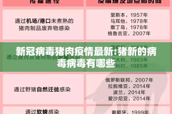 可用版本“手机麻将挂先试用后付款 小程序”分享装挂详细步骤