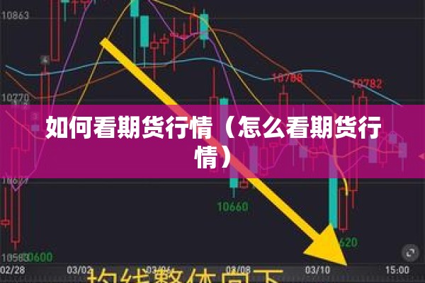 上海期货早盘价格行情/上海期货价格实时行情