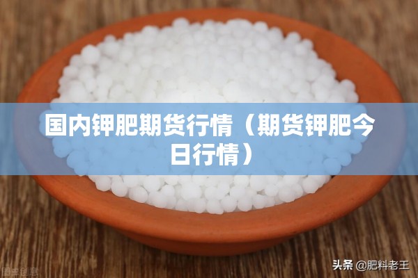 菜鸟期货行情:菜鸟网络期权有用吗