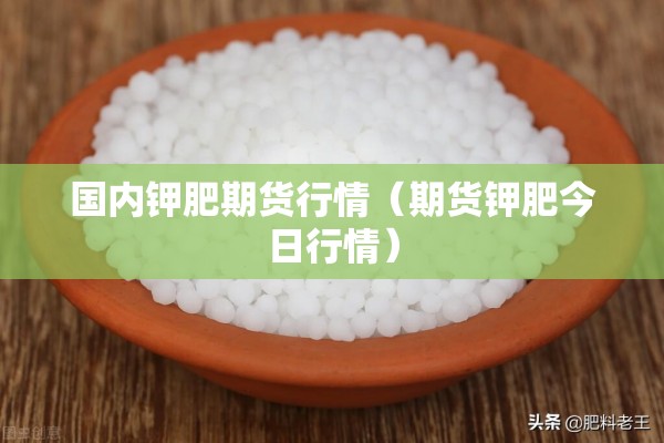 国内钾肥期货行情（期货钾肥今日行情）