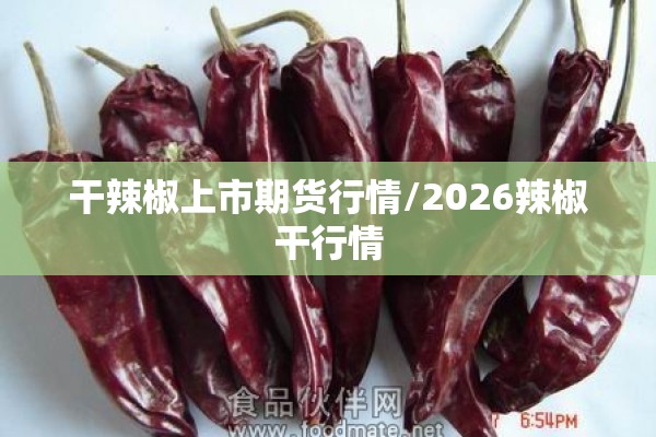 干辣椒上市期货行情/2026辣椒干行情