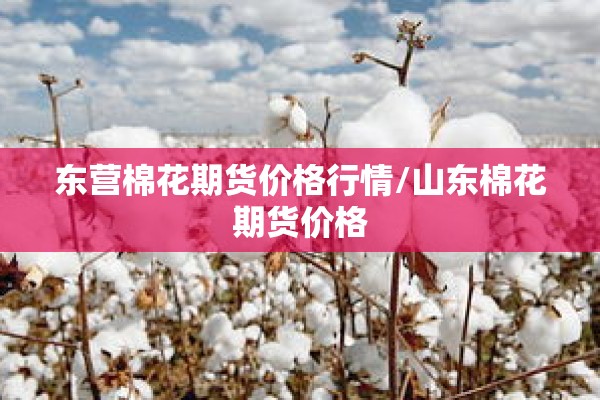 2020疫情心得体会/春节疫情感悟300字