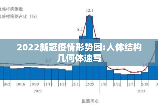 2022新冠疫情形势图:人体结构几何体速写 2022新冠疫情形势图:人体结构几何体速写