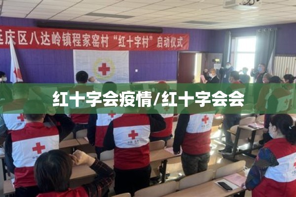 红十字会疫情/红十字会会