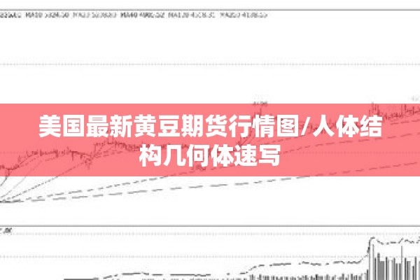 美国最新黄豆期货行情图/人体结构几何体速写