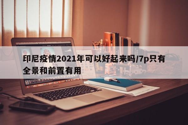 印尼疫情2021年可以好起来吗/7p只有全景和前置有用