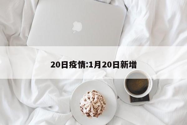 20日疫情:1月20日新增